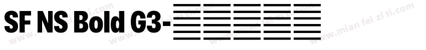 SF NS Bold G3字体转换